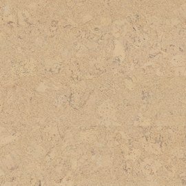 Cork · Shell Marfim