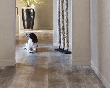 LVT 드림클릭 Planks 4