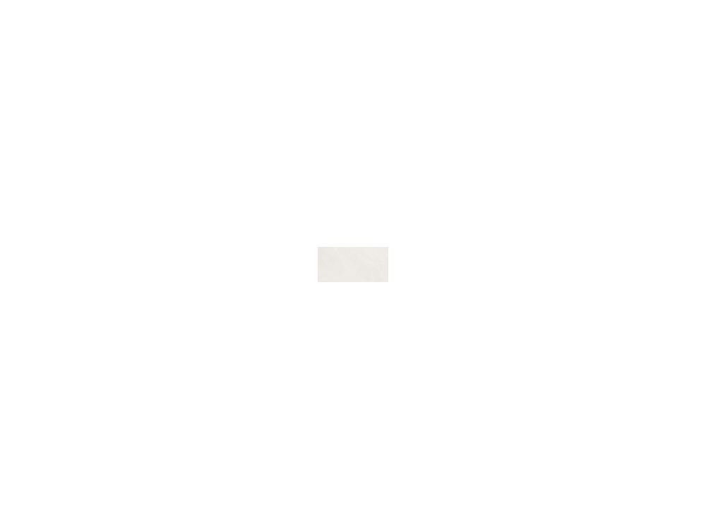 화이트 White