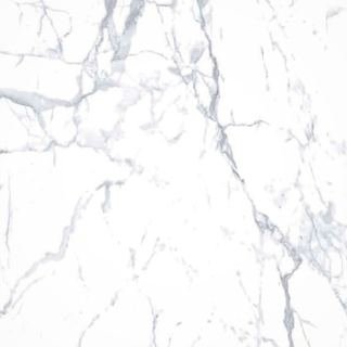 NFP-1634 1200x600