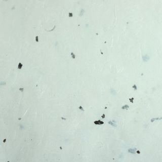 닥피한지